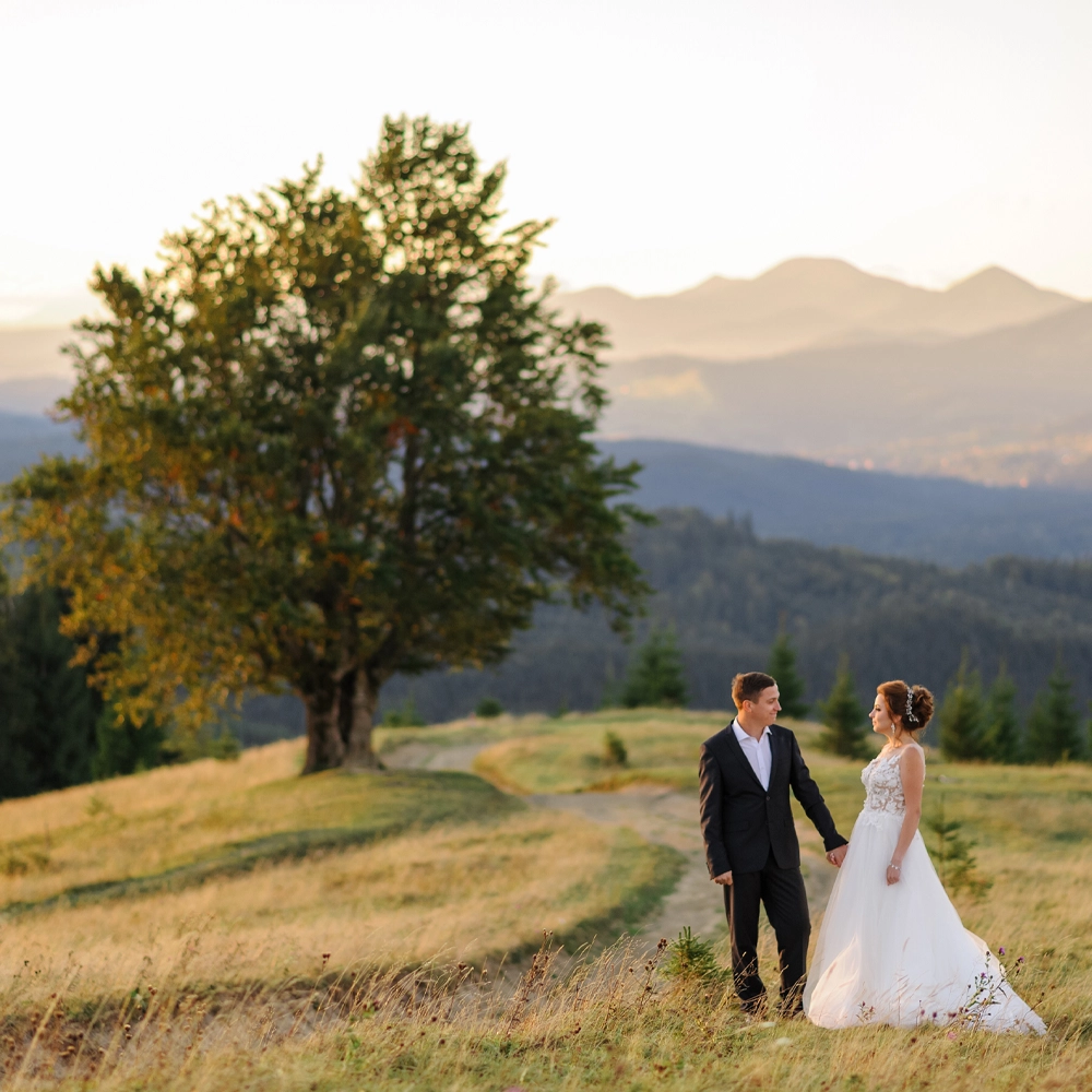 A happy couple saying their vows in front of a beautiful Smoky Mountain view.
