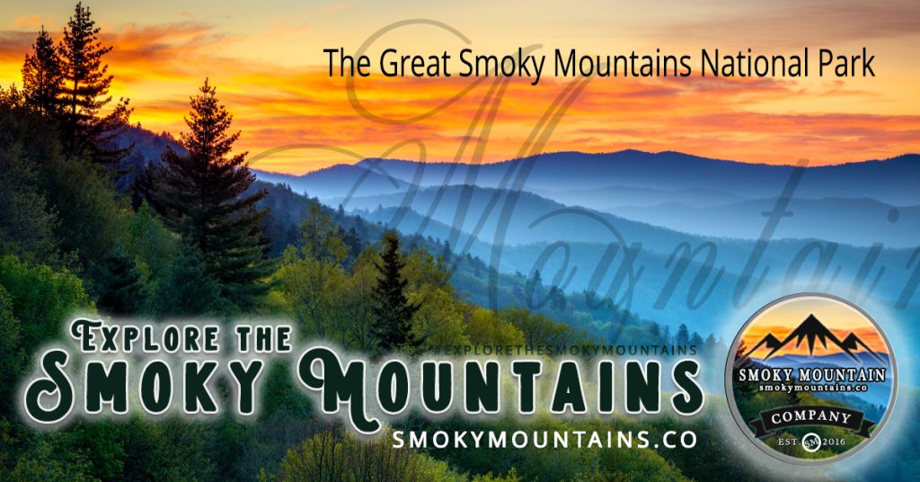 A breathtaking view of the Great Smoky Mountains National Park with rolling hills, lush forests and clear skies.
